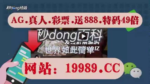 2024年新澳门天天开彩,实际说明应用解析_信息款58.105